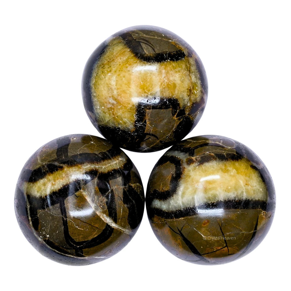 Large Septarian Sphere (2.5 Inch)