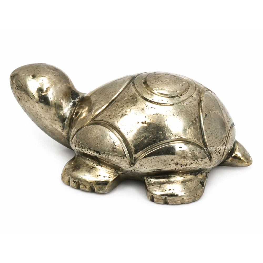 Pyrite Tortoise Kachhua
