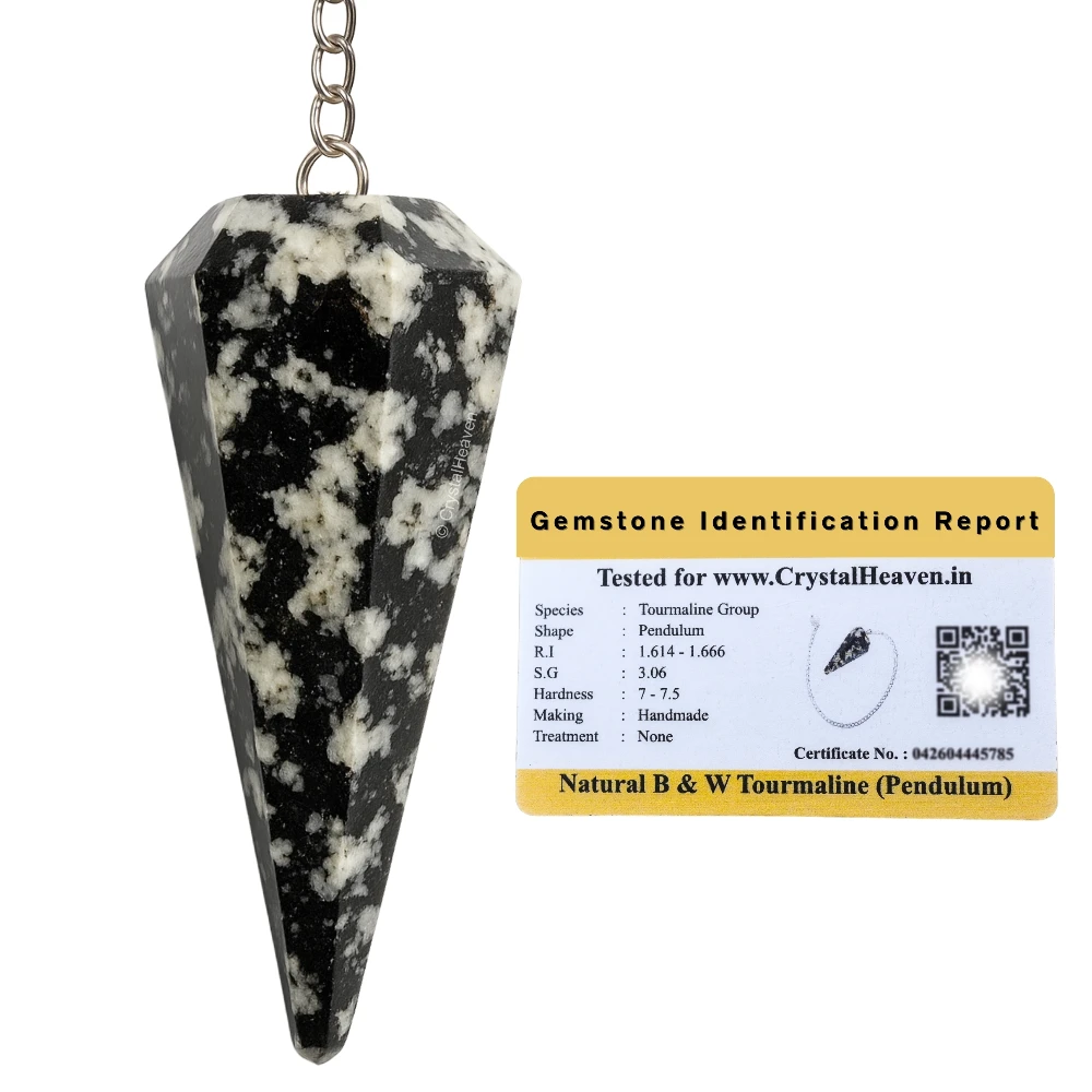Black and White Tourmaline Pendulum