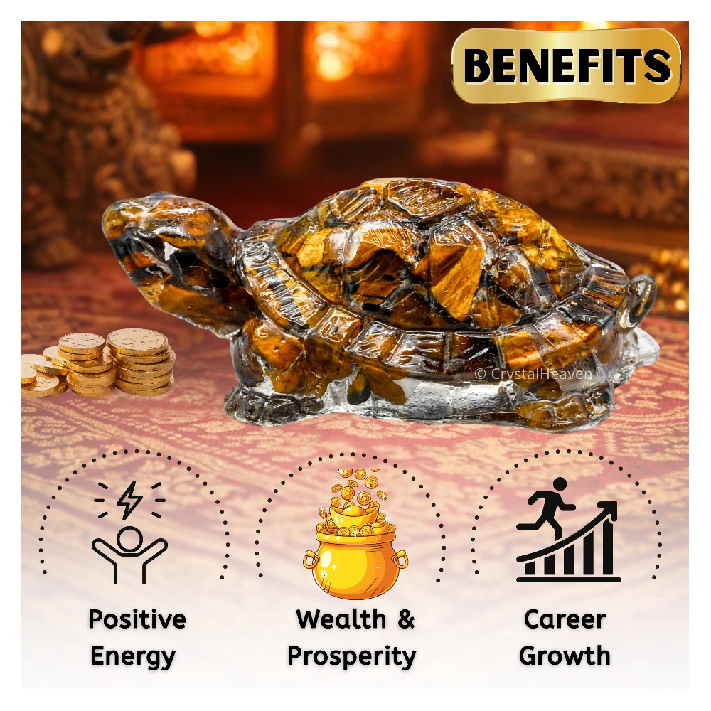 Tiger Eye Tortoise Kachhua