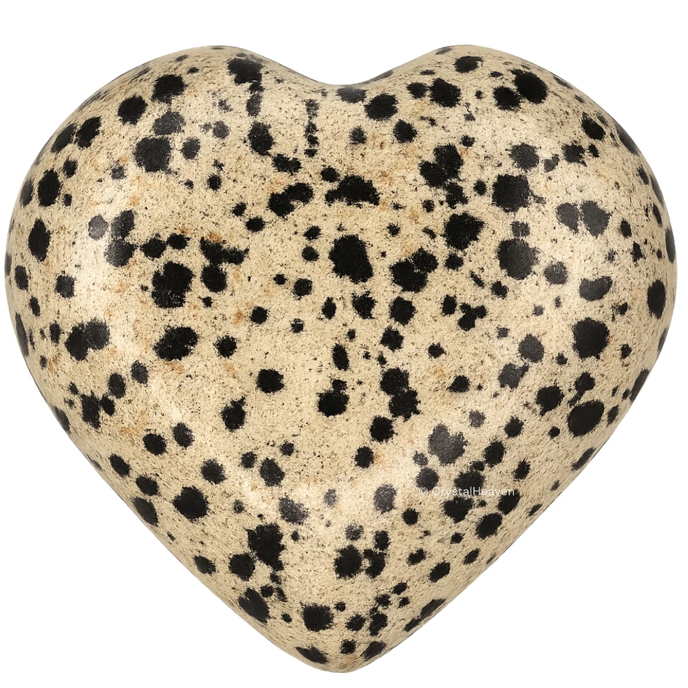 Dalmatian Jasper Heart