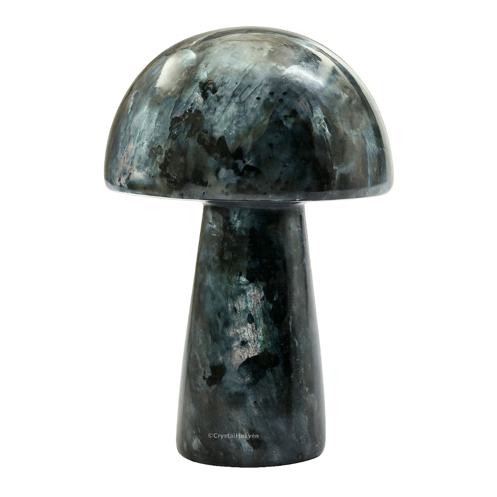 Larvikite Mushroom