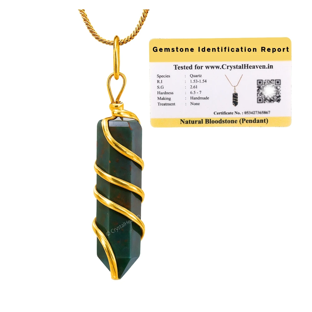 Bloodstone Necklace - Spiral Pencil Point (Gold)