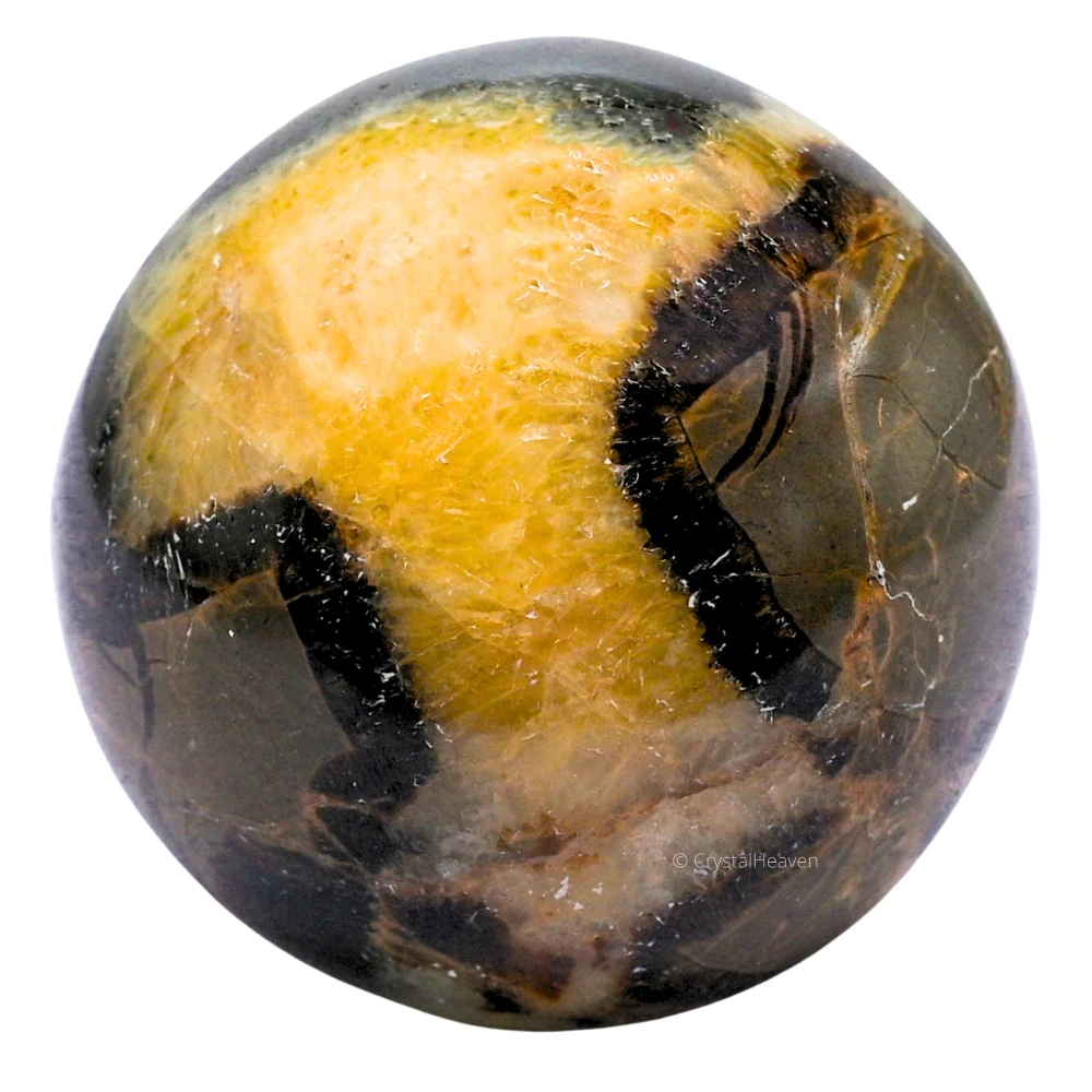 Large Septarian Sphere (2.5 Inch)