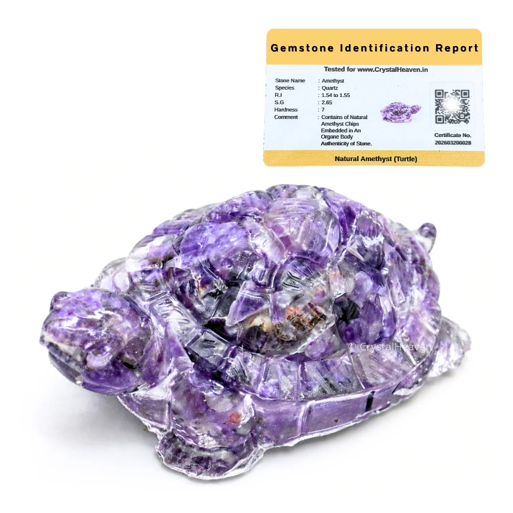 Amethyst Tortoise Kachhua