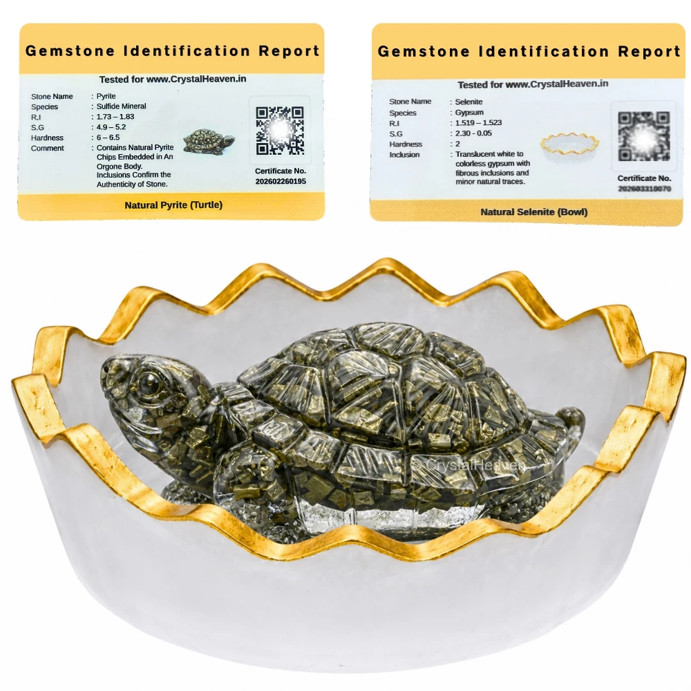 Natural Pyrite Tortoise Kachhua with Selenite Bowl