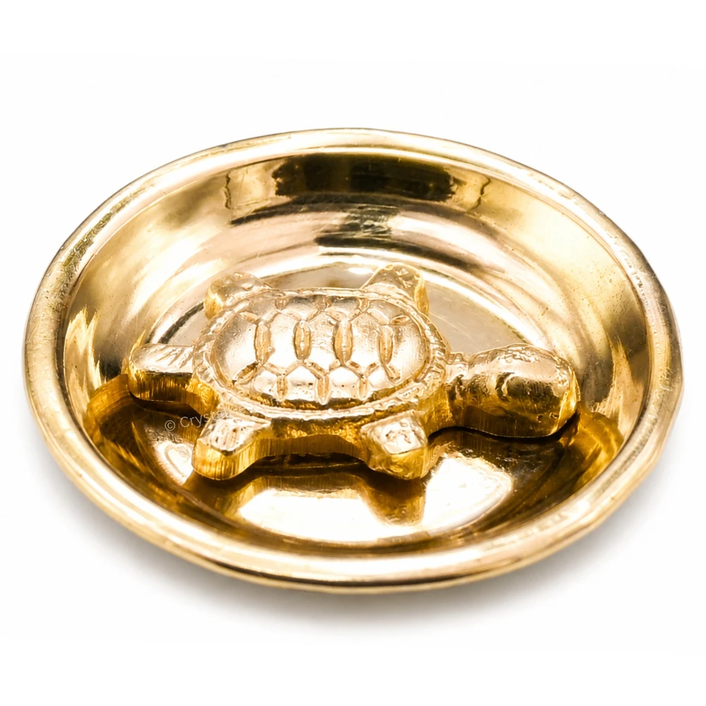 Tortoise with Plate Bass Idol Figurine (40 Gram, 2.5 inch)
