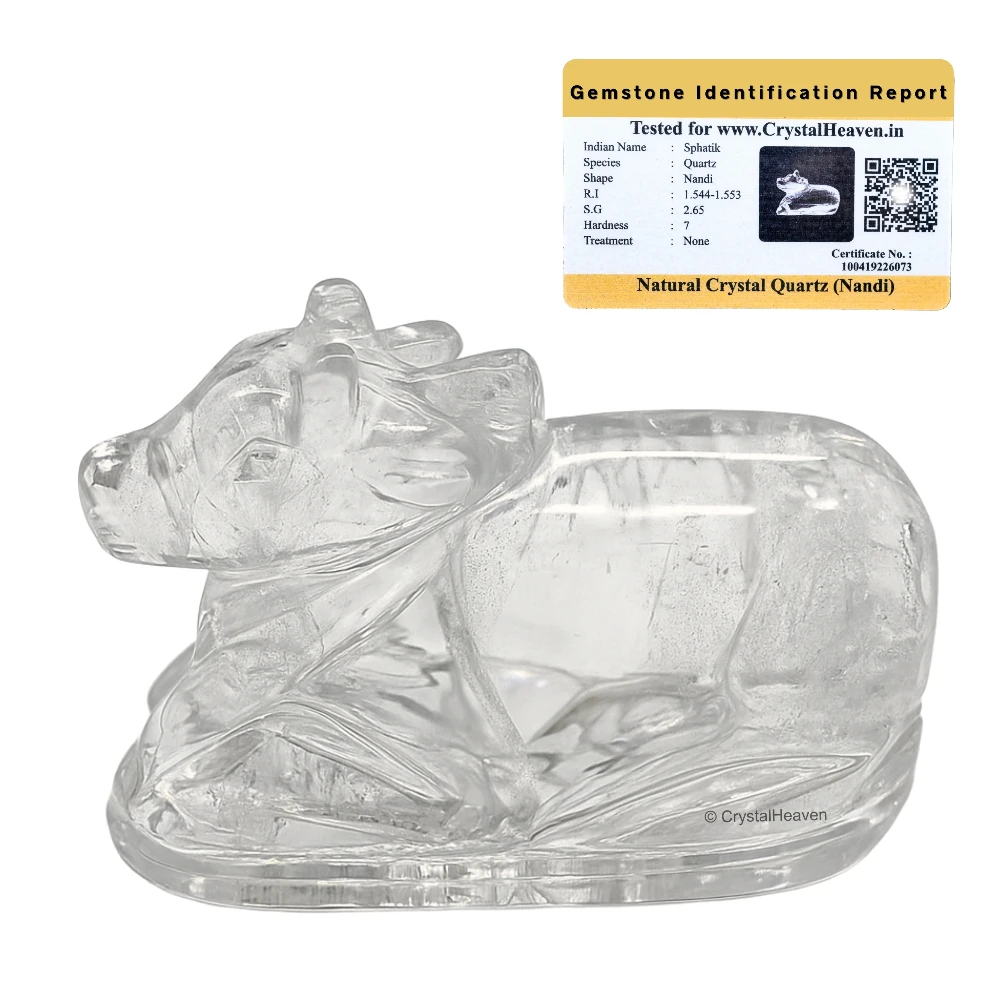 Sphatik Nandi (10-20 Gram)