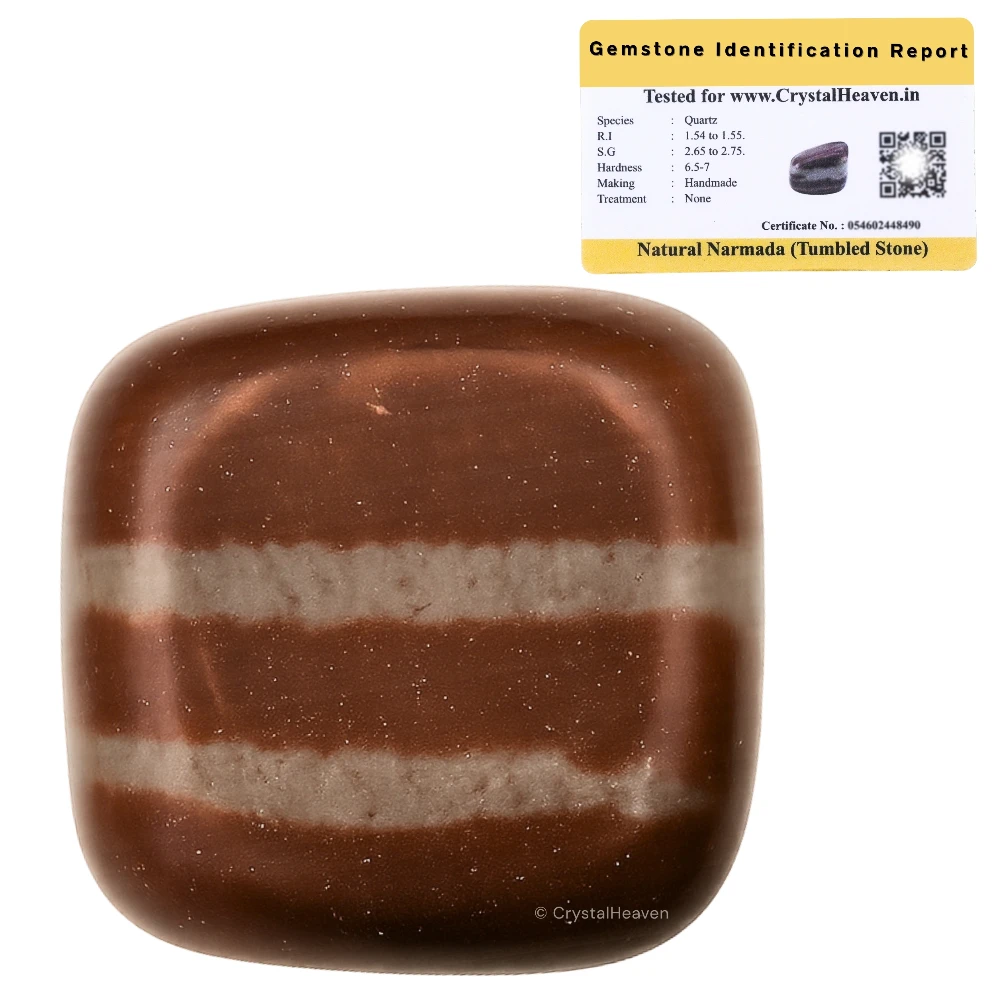 Tumbled Shiva Lingam Stones (30 Gram)