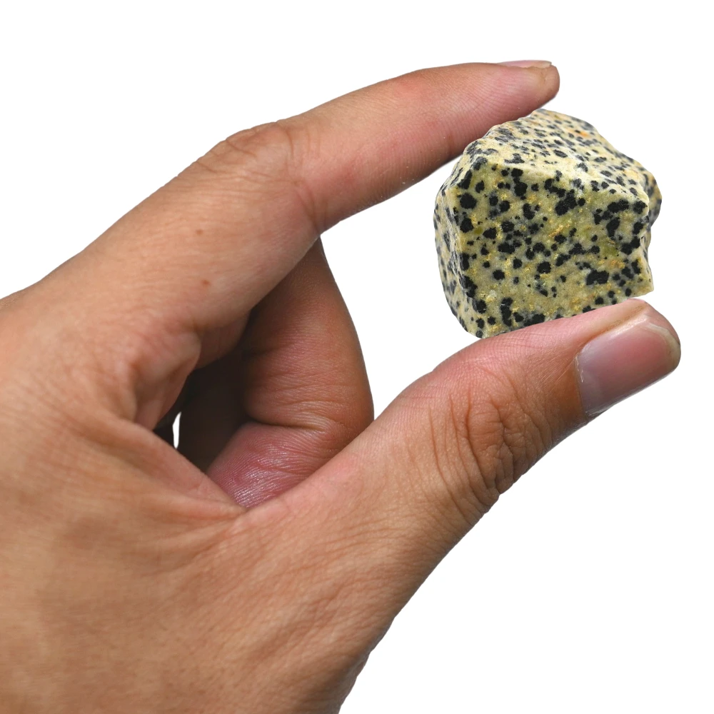 Raw Dalmatian Jasper Crystals (2 Pieces)