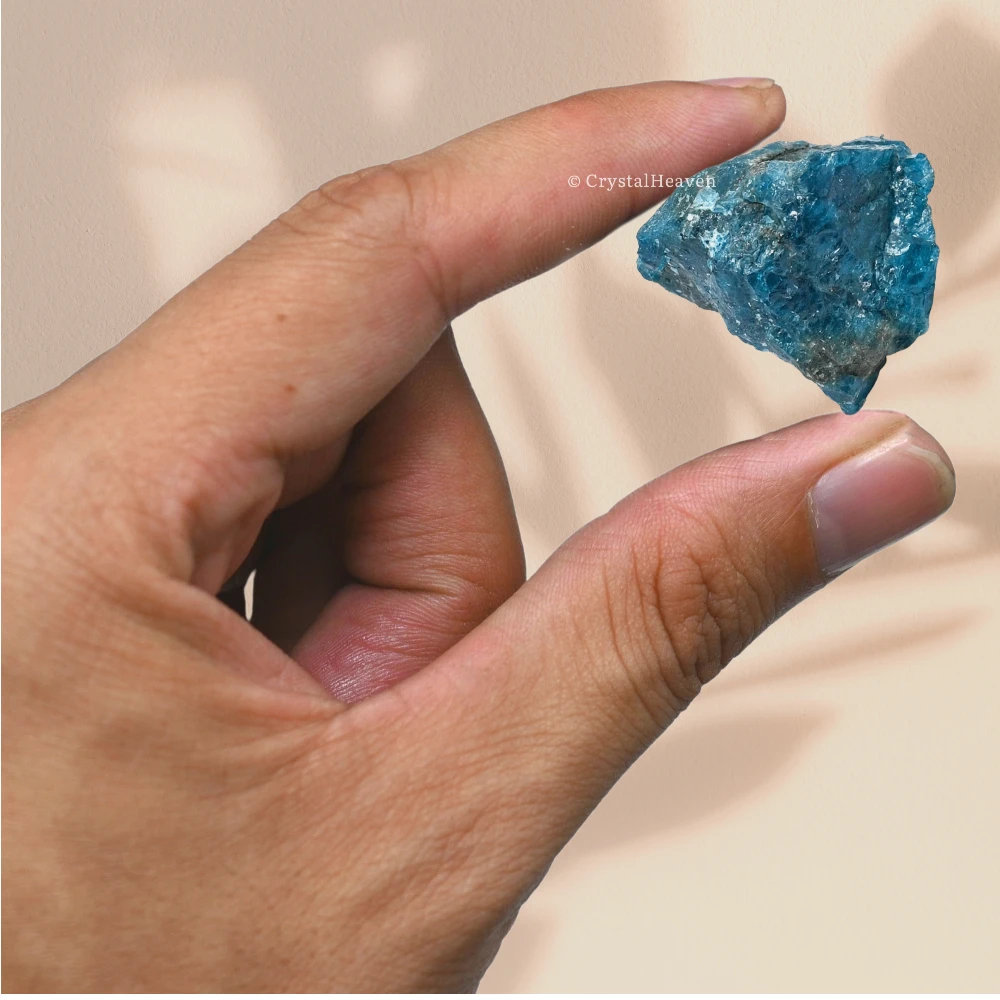 Raw Apatite Crystals (2 Pieces)