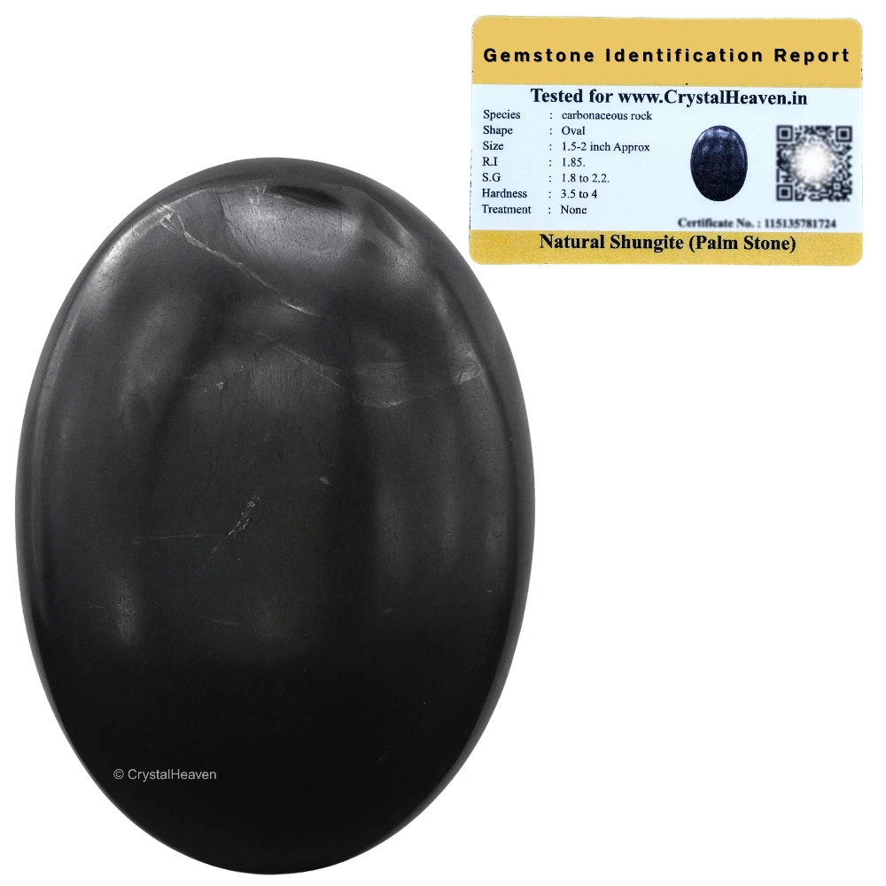 Shungite Palm Stone