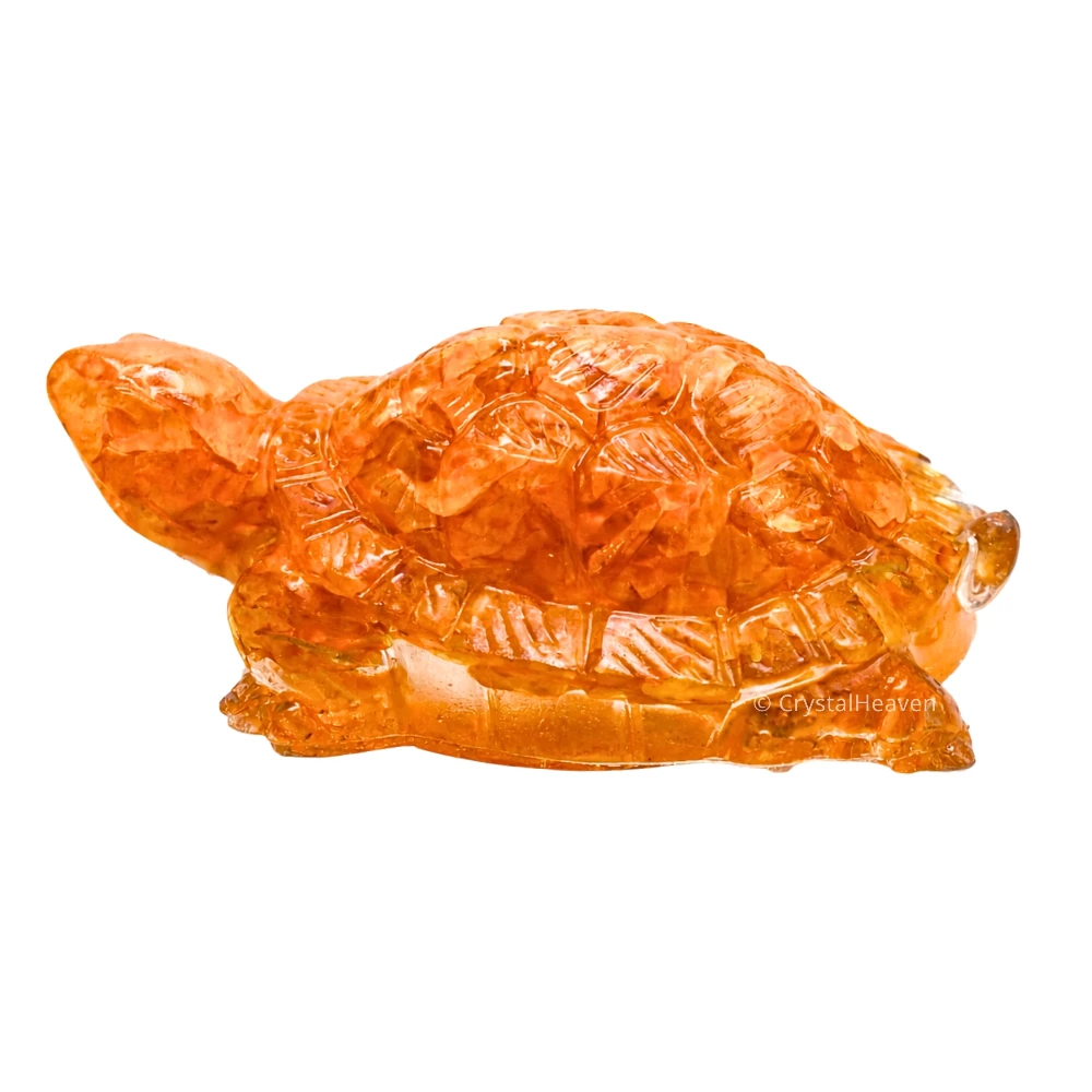Citrine Onyx Tortoise Kachhua