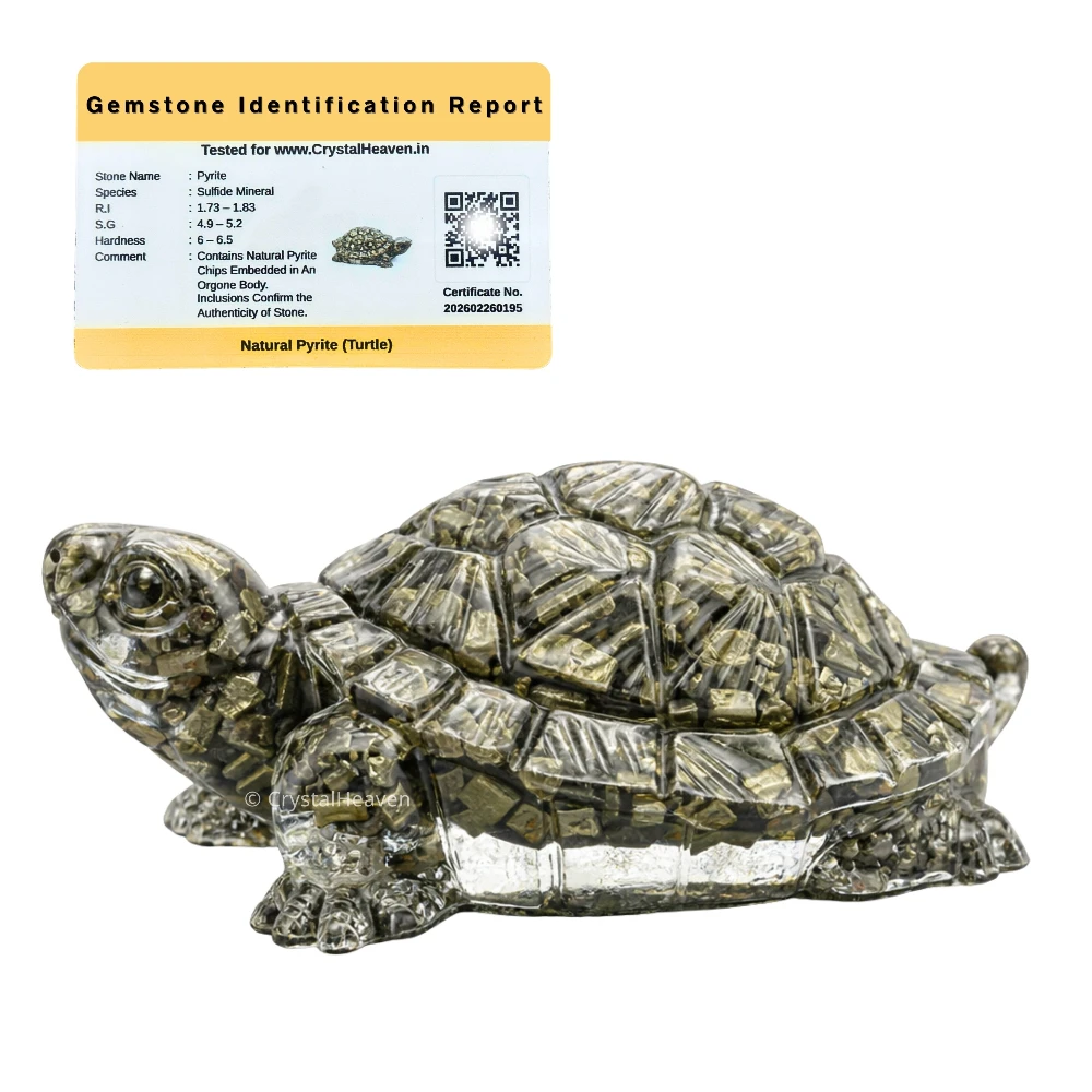 Natural Pyrite Tortoise Kachhua - 5.5 Inch Large