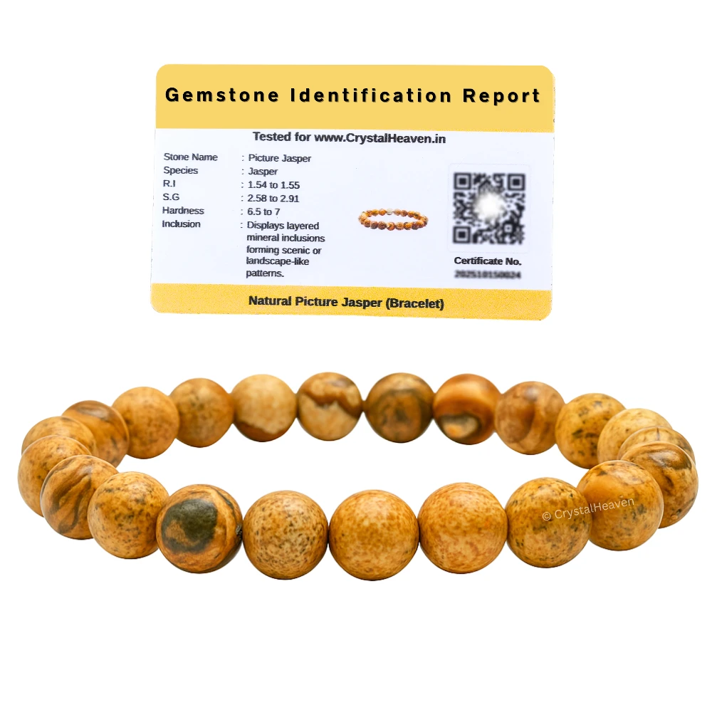 Picture Jasper Bracelet (Elastic)
