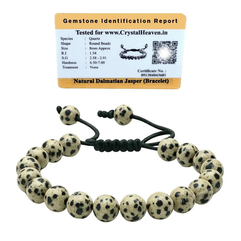 Dalmatian Jasper Bracelet (Adjustable)