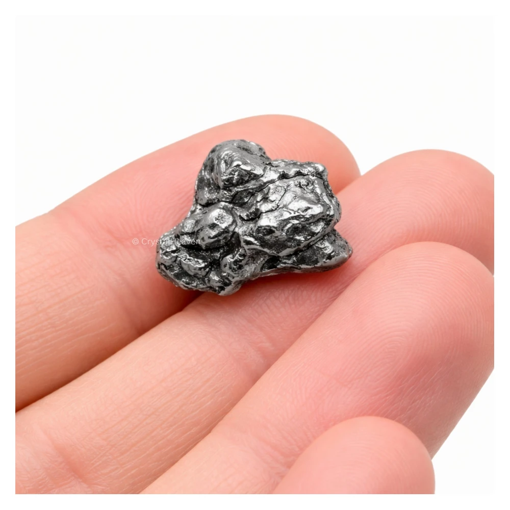 Meteorite Specimen - Campo del Cielo