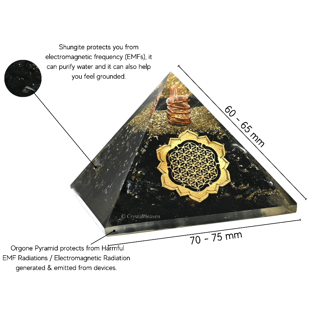 Shungite Orgone Pyramid (Lotus Flower Of Life)
