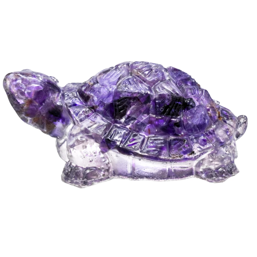 Amethyst Tortoise Kachhua