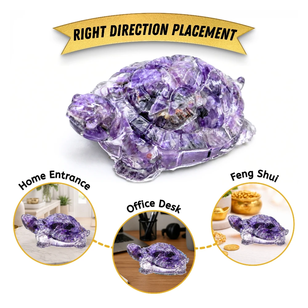 Amethyst Tortoise Kachhua