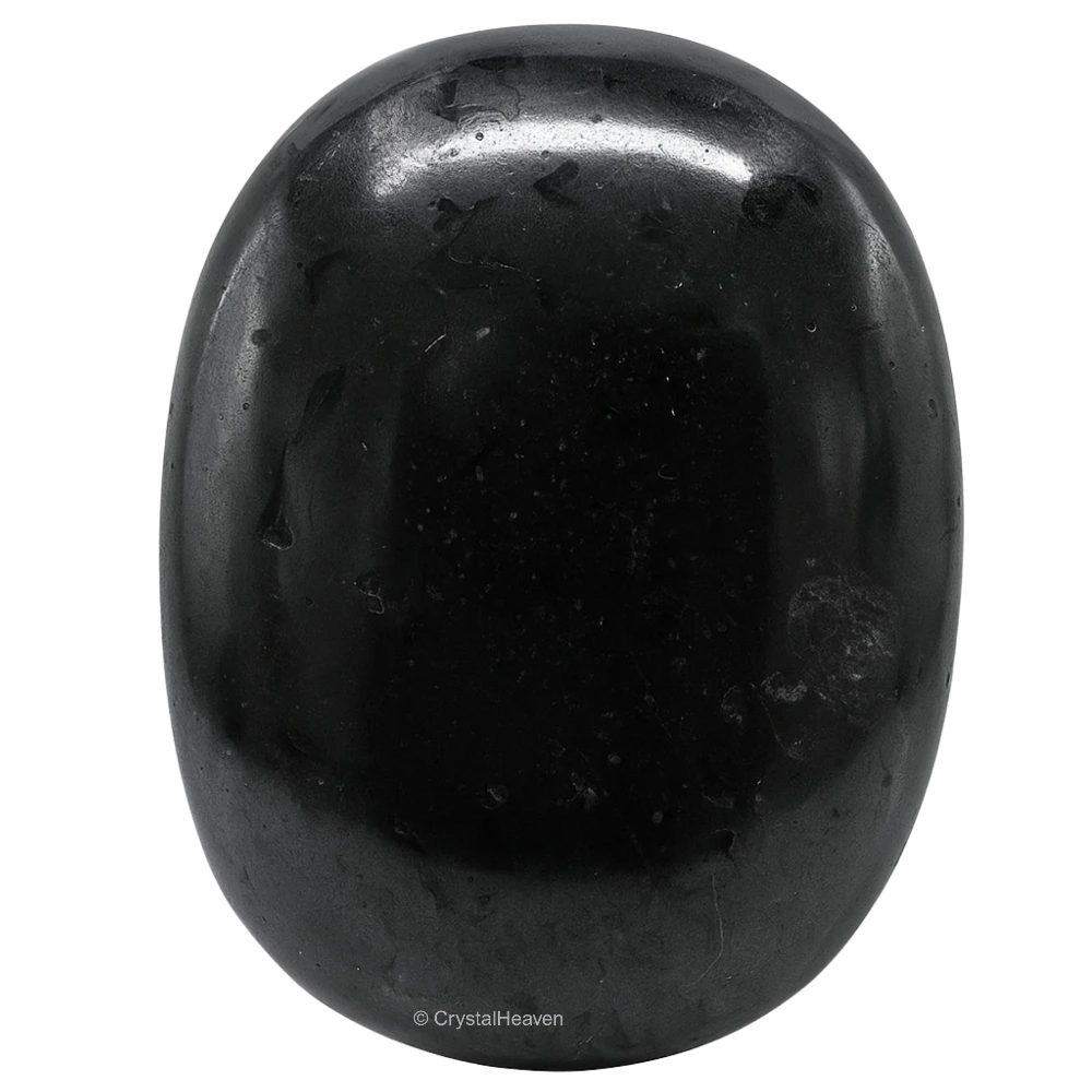 Black Tourmaline Palm Stone (Large)
