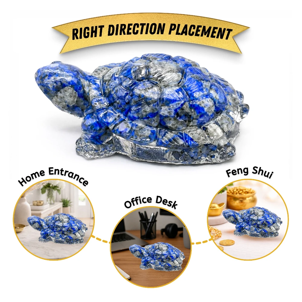 Lapis Lazuli Tortoise Kachhua