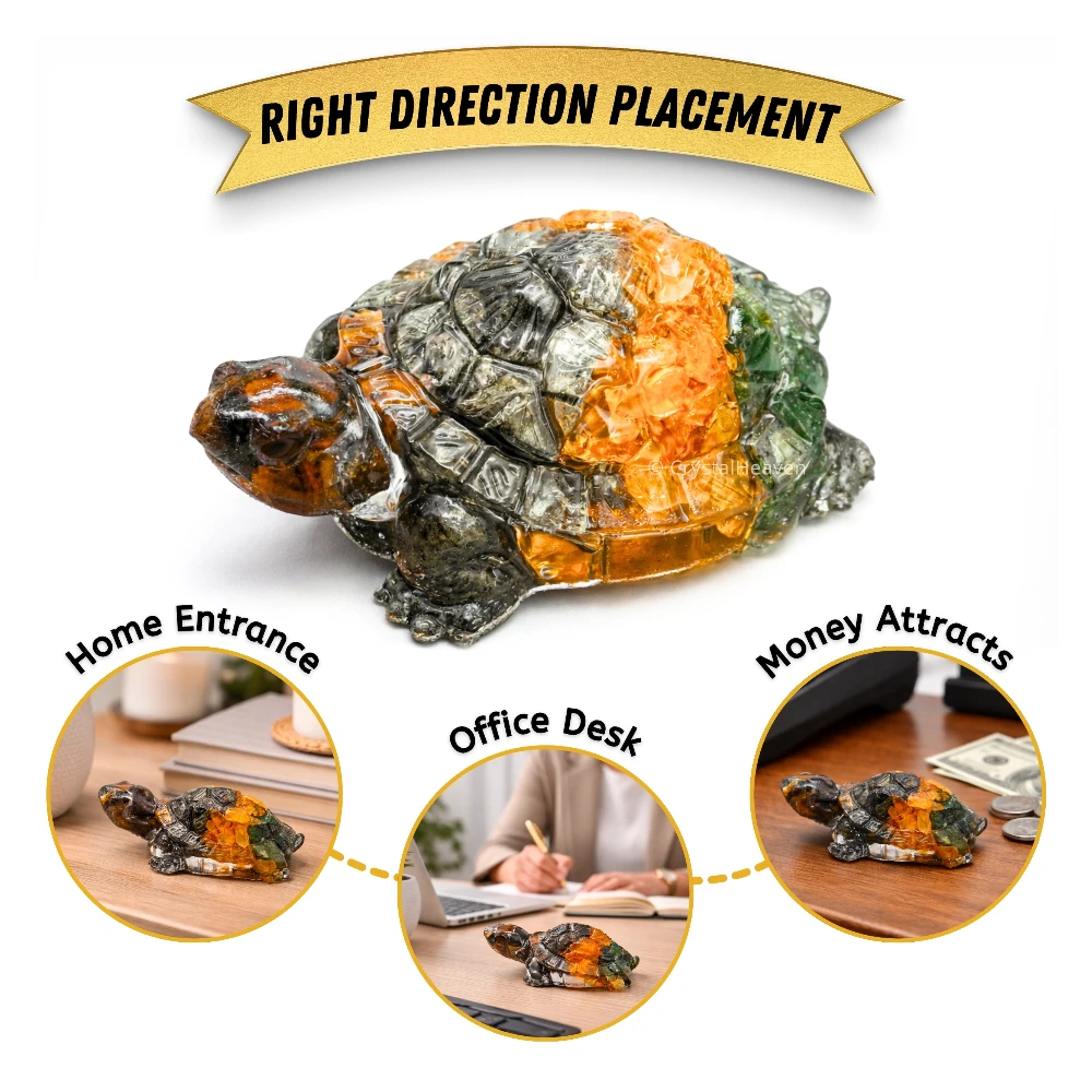 Dhanyog Tortoise Kachhua