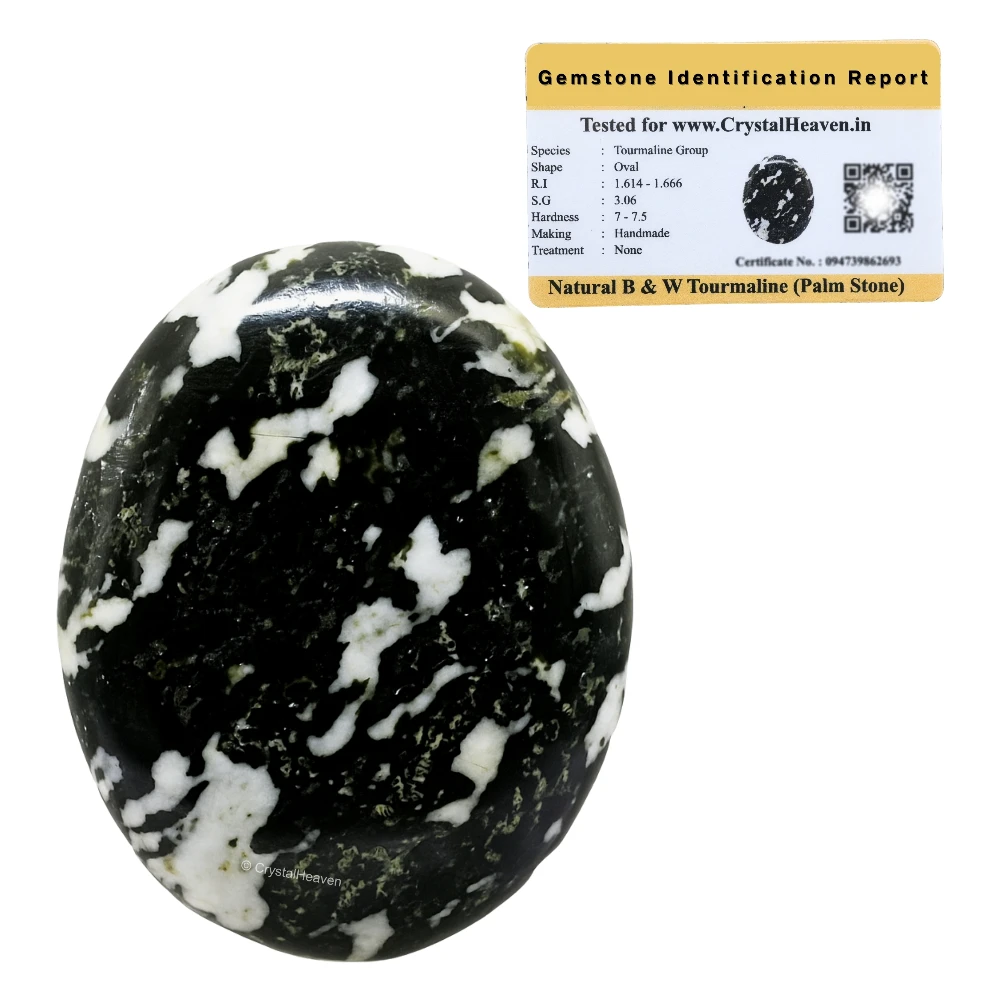 Black and White Tourmaline Palm Stone