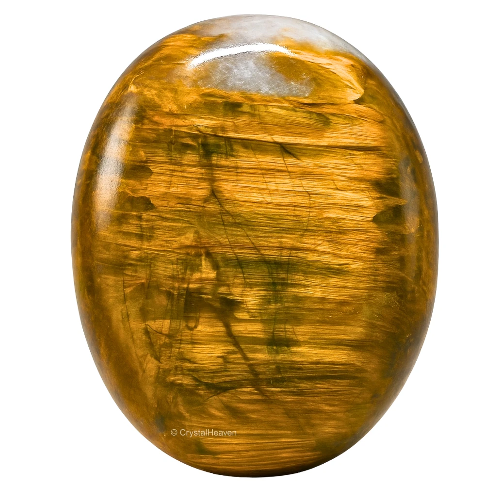 Nellite Palm Stone