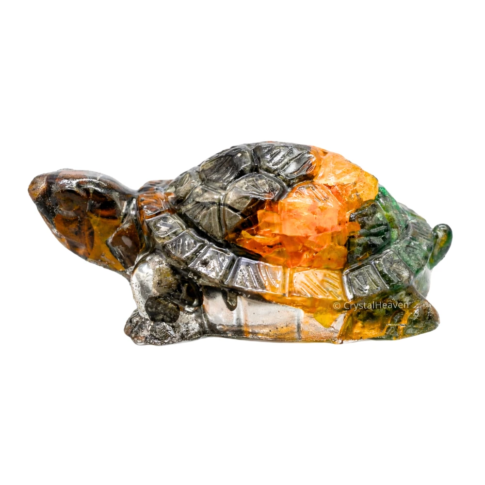 Dhanyog Tortoise Kachhua