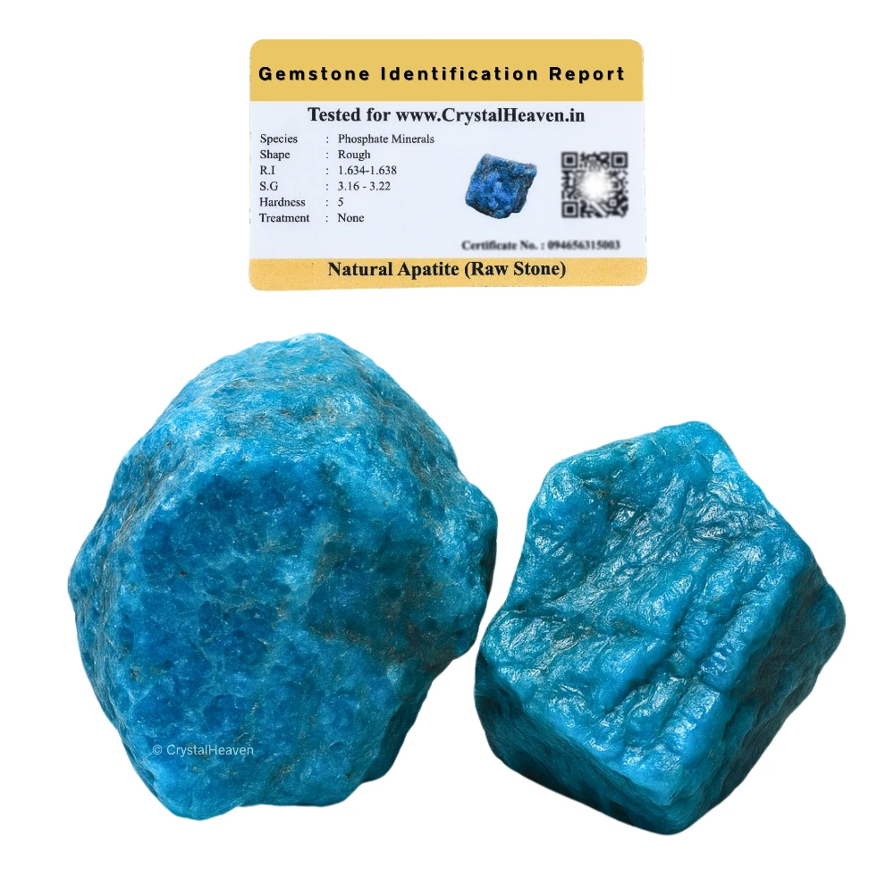 Raw Apatite Crystals (2 Pieces)