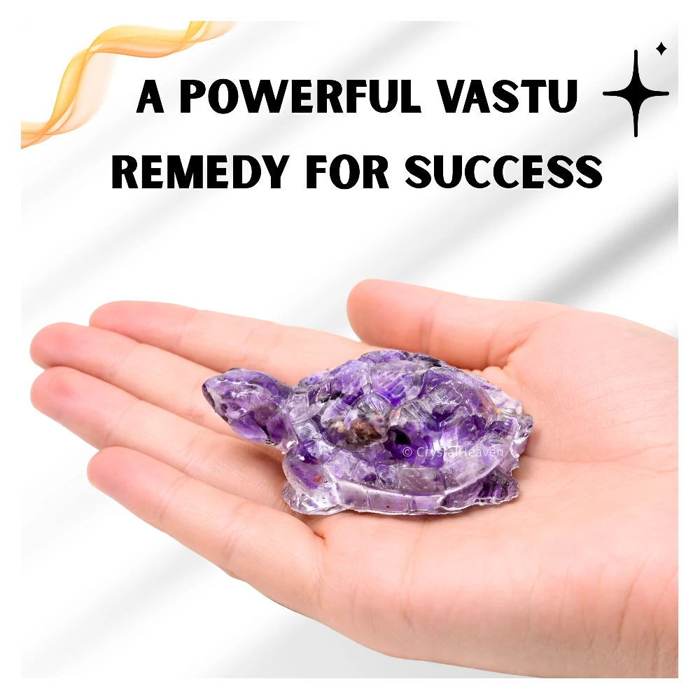 Amethyst Tortoise Kachhua
