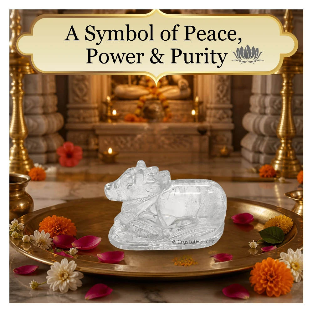 Sphatik Nandi (20-30 Gram)