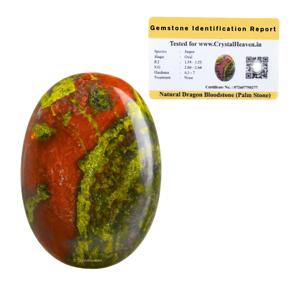 Dragon Bloodstone Palm Stone