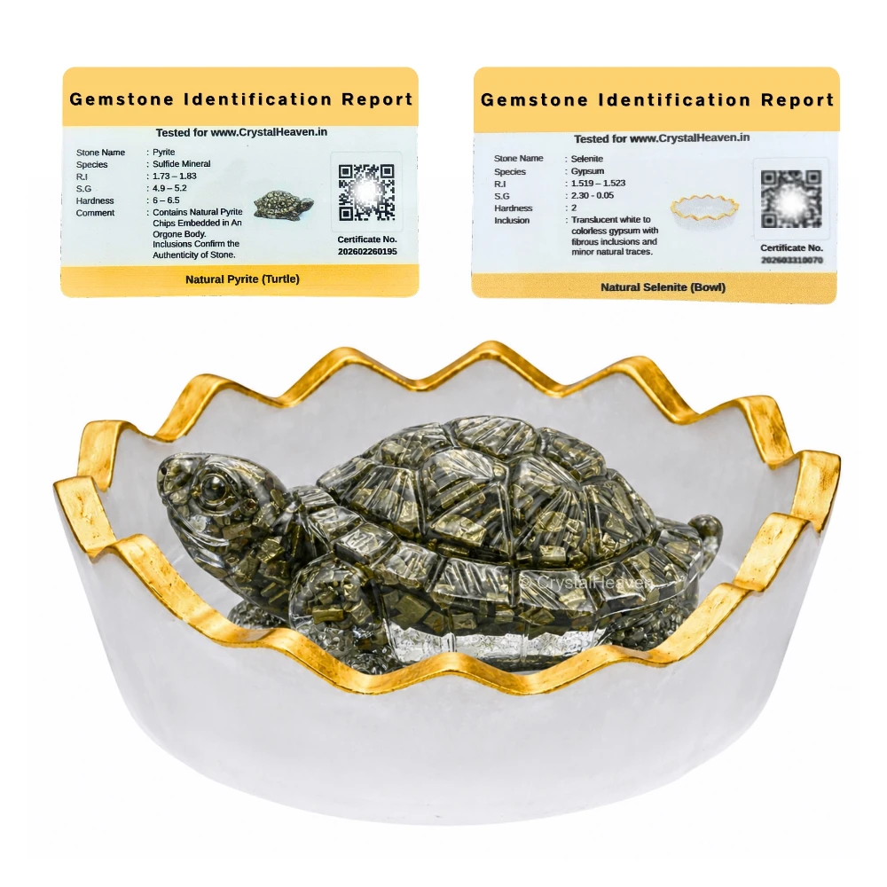Pyrite Tortoise Kachhua with Selenite (Bowl)