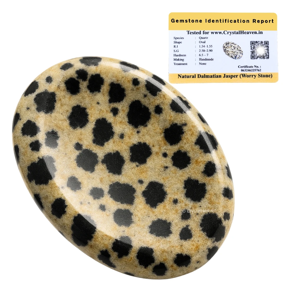 Dalmatian Jasper Worry Stone