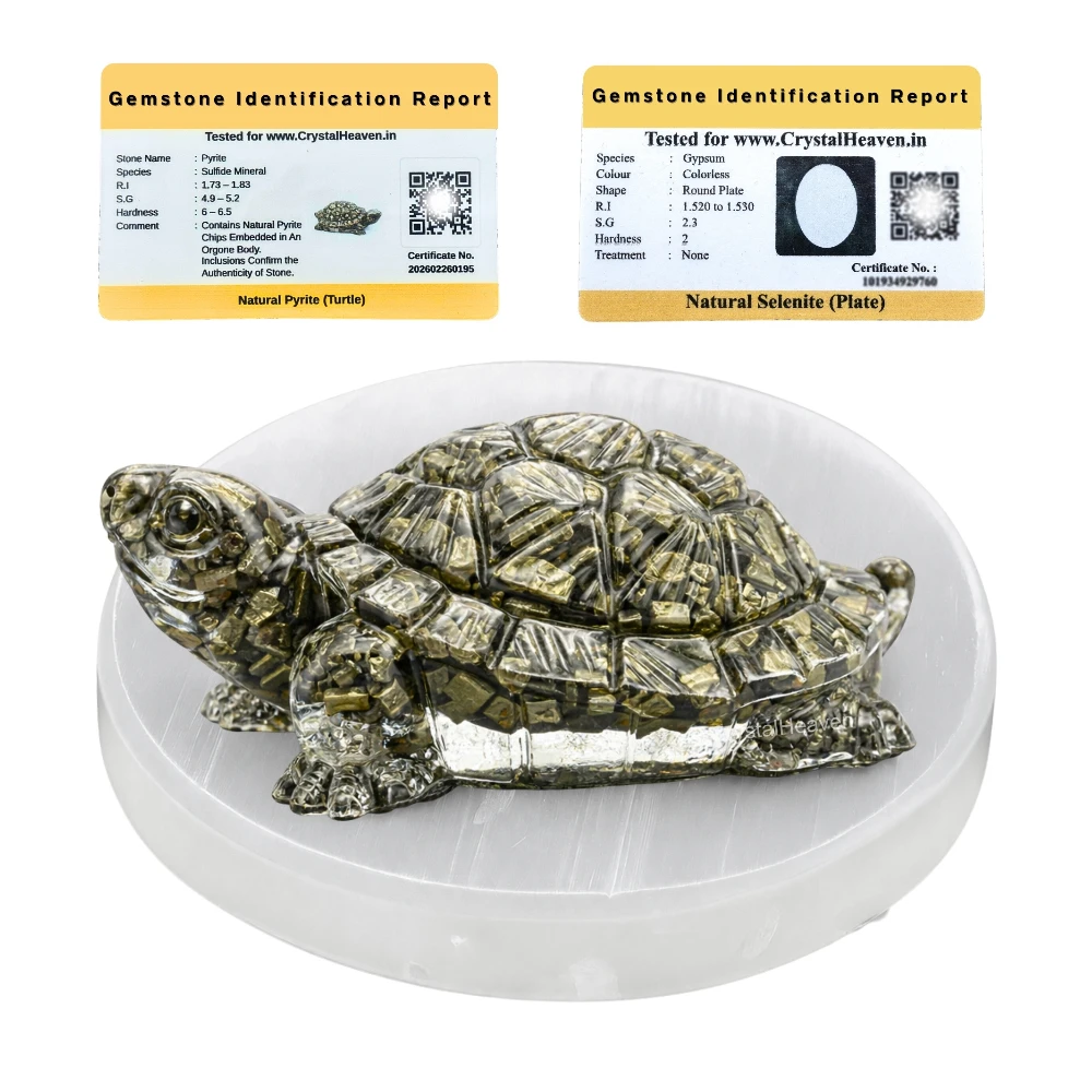 Natural Pyrite Tortoise Kachhua with Selenite Plate