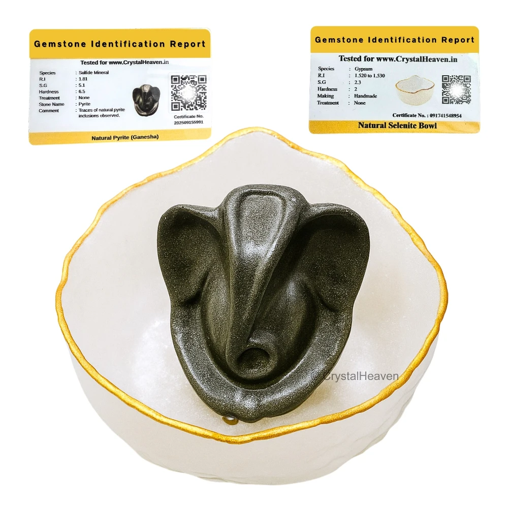 Money Bowl For Feng Shui Wealth Attraction (Bowl - Ganesha)