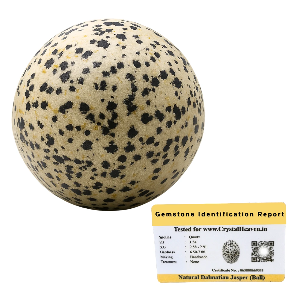 Dalmatian Jasper Sphere (1.5 Inch)