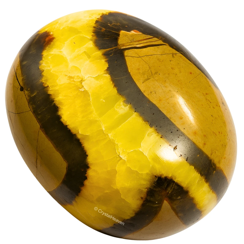 Septarian Palm Stone