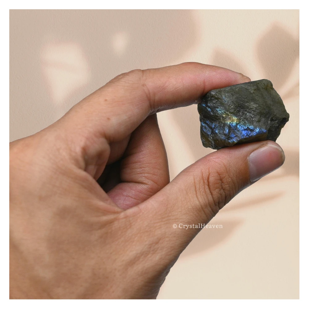 Raw Labradorite Crystals (5 Pieces)