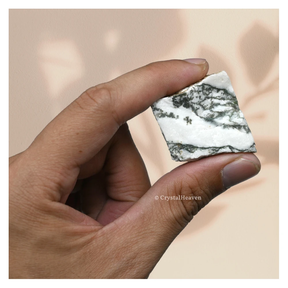Raw Tree Agate Crystals (1 Piece)