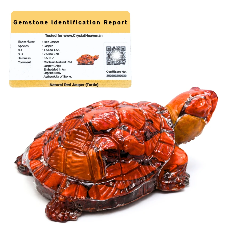 Red Jasper Tortoise Kachhua