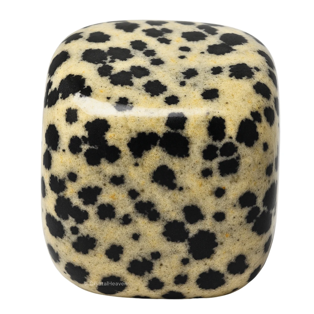 Tumbled Dalmatian jasper Stones (30 Gram)