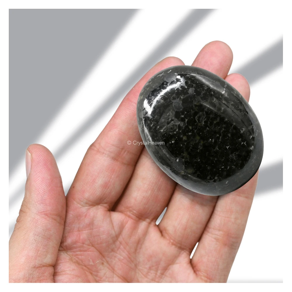 Nuummite Palm Stone (Large)