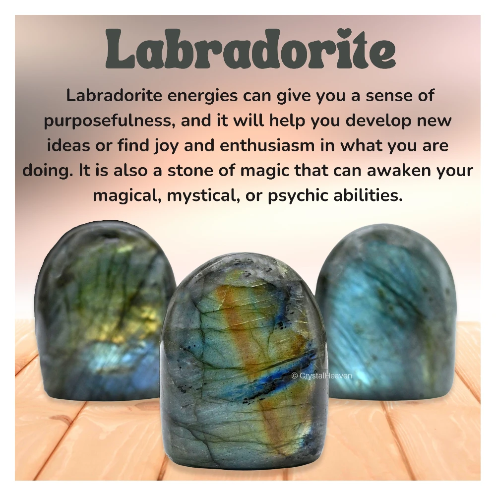 Labradorite Standing Palm Stone (Regular)