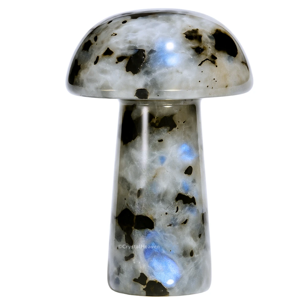 Rainbow Moonstone Mushroom