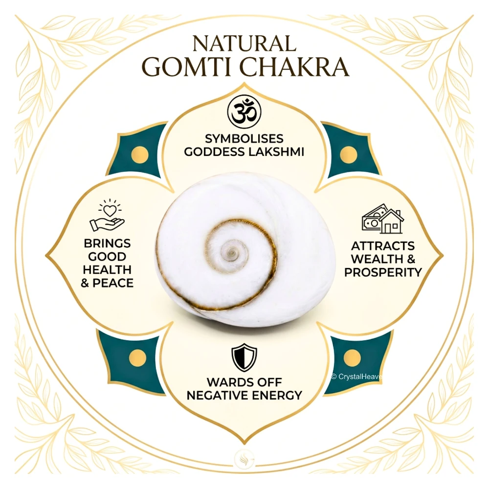 Gomati Chakra Beads (15mm, Set of 11)