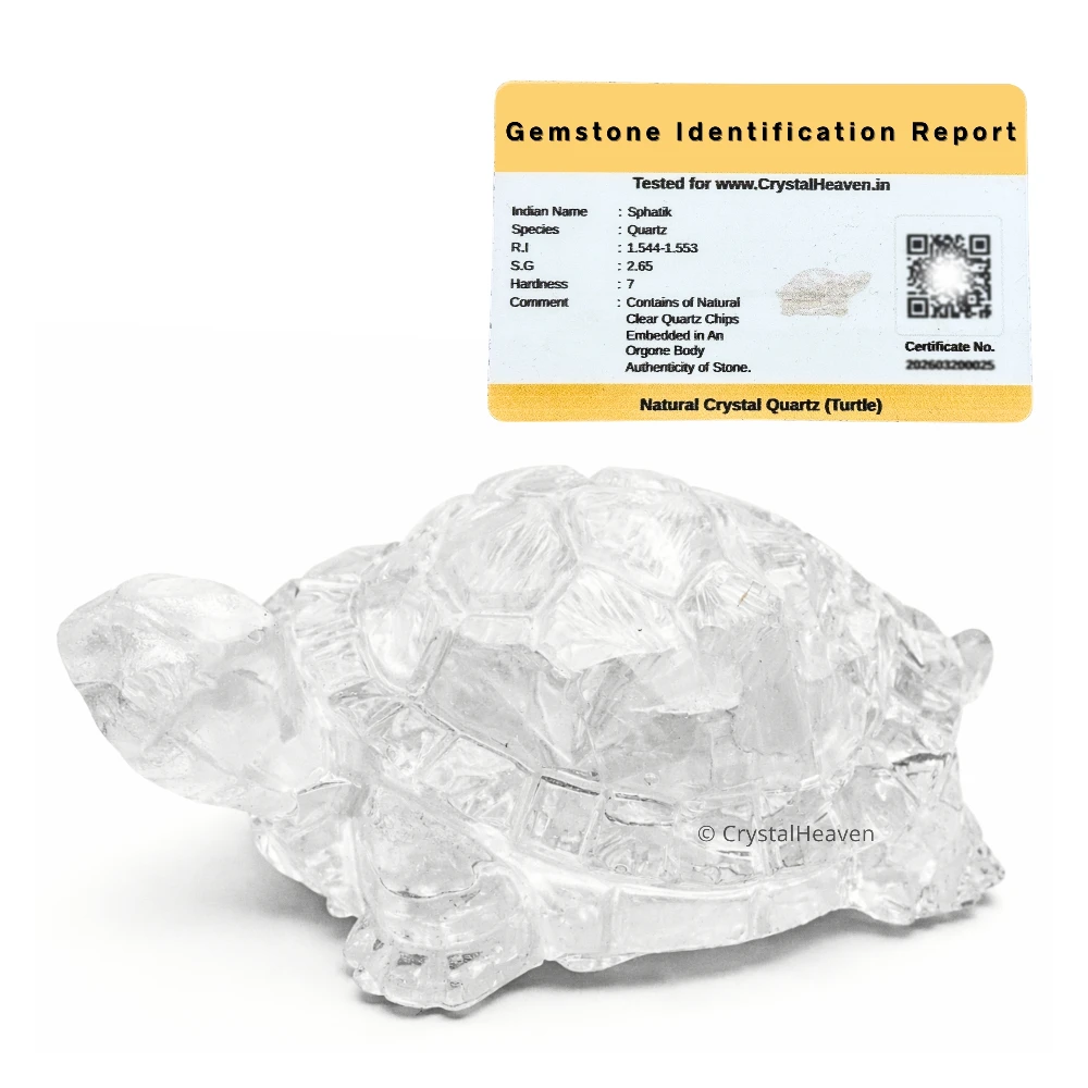 Clear Quartz Tortoise Kachhua
