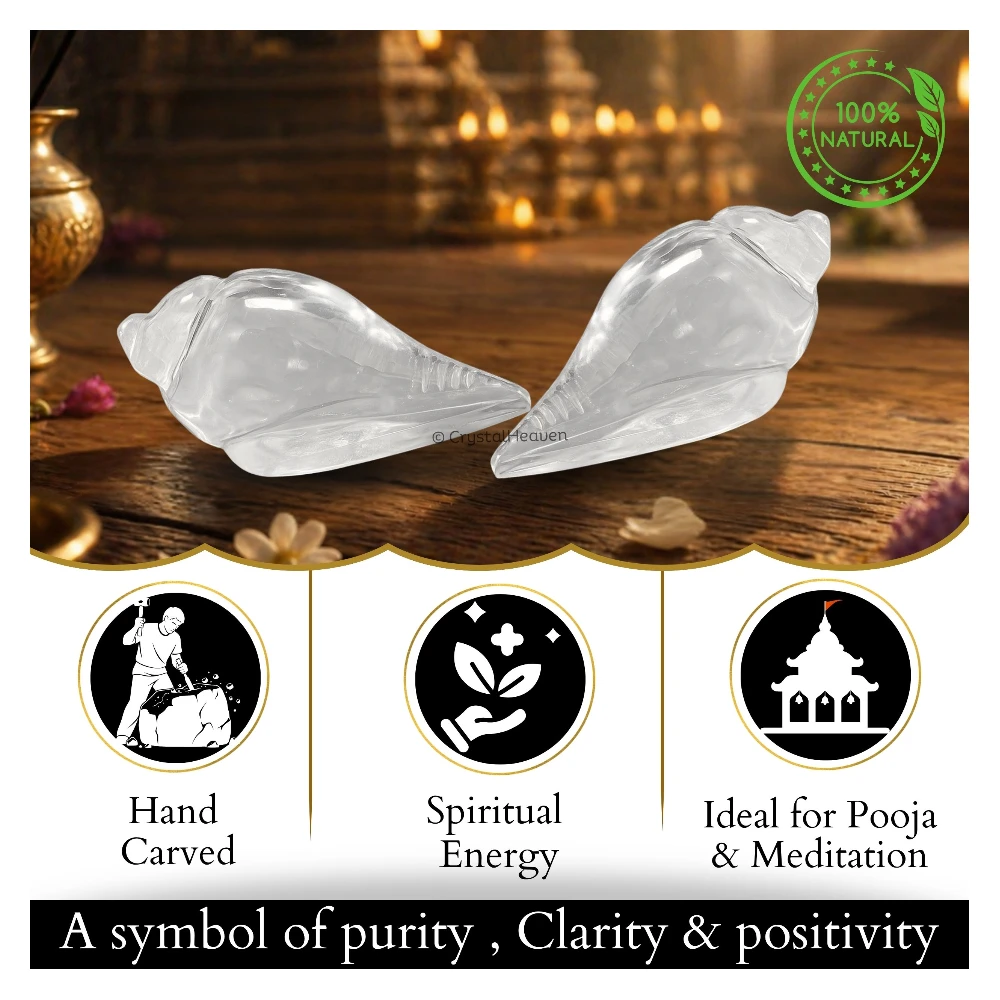 Sphatik Shankh Shell (10-20 Gram)